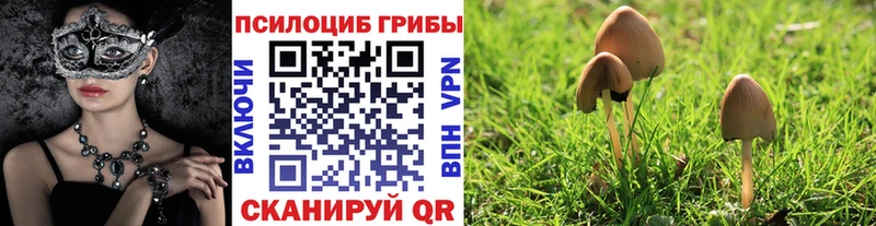 Галлюциногенные грибы мицелий  МЕГА   Ульяновск 